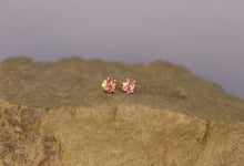 Load image into Gallery viewer, Pink Flowers Studs